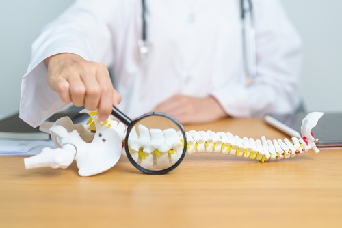Understanding Spinal Health A Beginner's Guide
